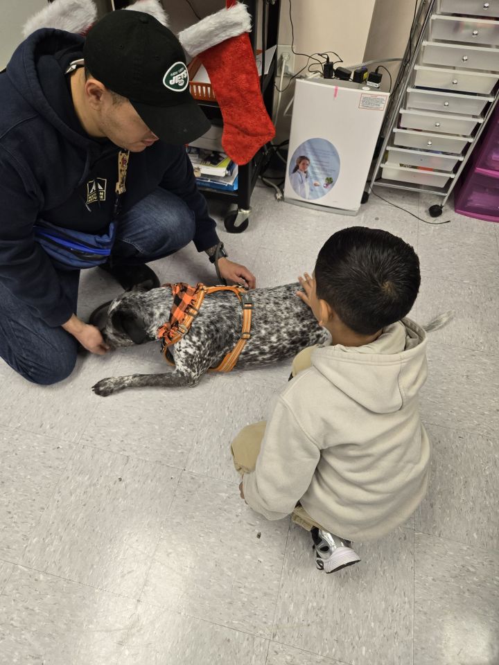 P.S. 65Q Welcomes Therapy Dogs to Support Students – United Community ...
